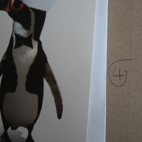 Christmas greetings card with envelopes Holidays Aminal Print Festival - Picture 9 of 9